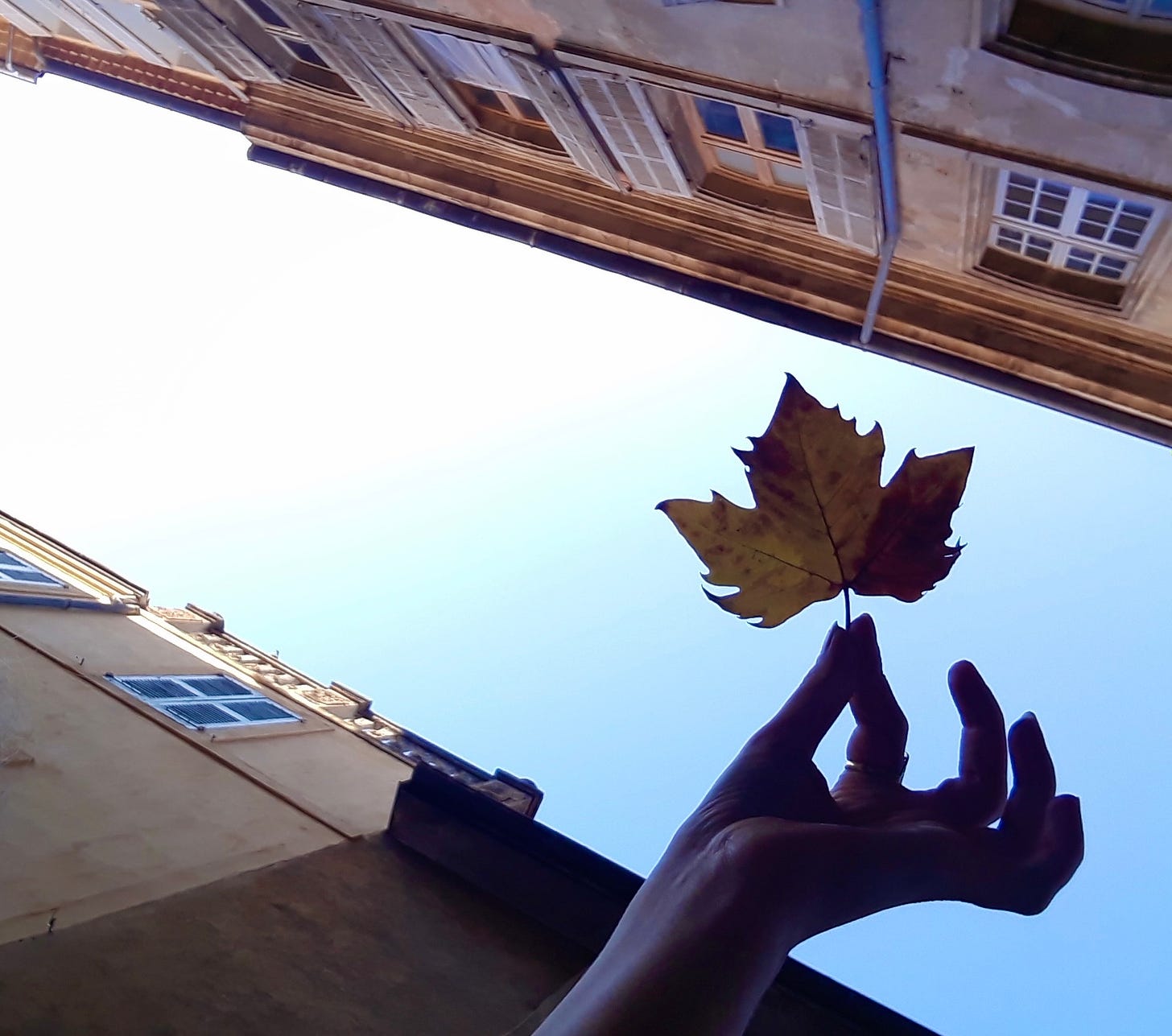 Image of a French town, warm yellow coloured buildings and a blue sky, taken from below. There is a silouette of a hand holding a three point leaf which cuts into the frame.