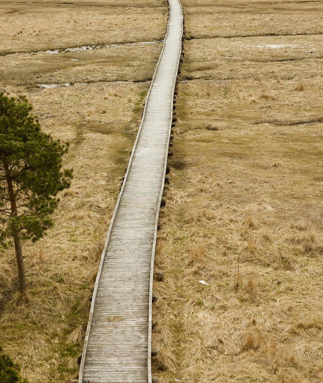 wooden walkway crossing brown grasslands, both disappearing at the horizon.