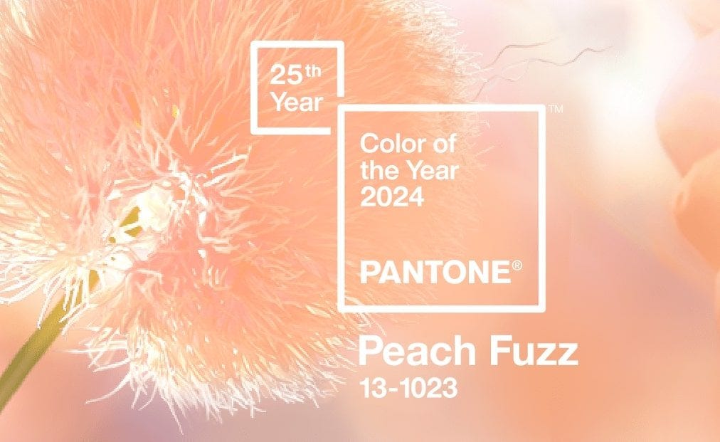 uma imagem da cor do ano da Pantone com o seu título "peach fuzz". é uma cor bege, bem leve e clara, que aqui está ilustrada em uma flor contra o sol, numa imagem que traz luz e leveza.