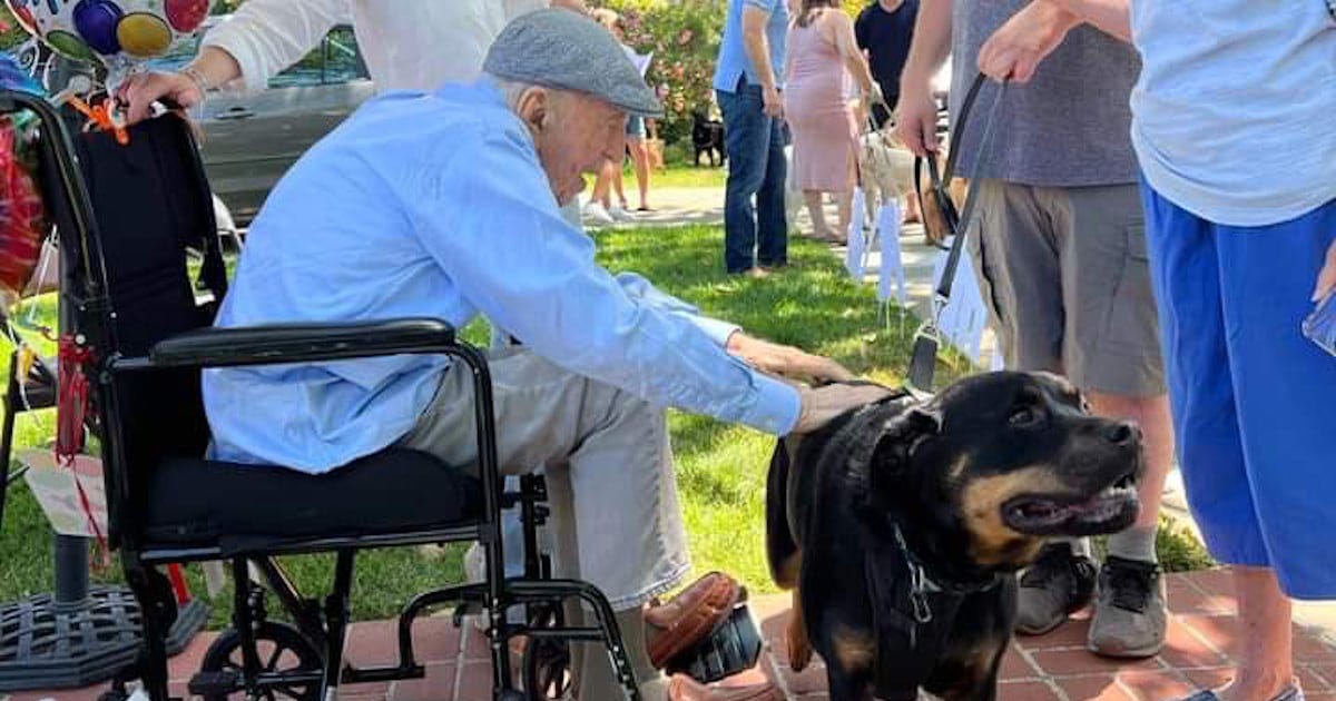 Man Celebrates 100th Birthday With a Dog Parade