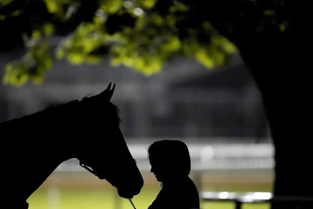A woman holds a horse after an early-morning workout at Churchill Downs Wednesday, May 3, 2023, in Louisville, Ky. The 149th running of the Kentucky Derby is scheduled for Saturday, May 6. (AP Photo/Charlie Riedel)