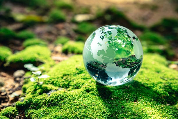 crystal globe putting on moss - earth nature bildbanksfoton och bilder