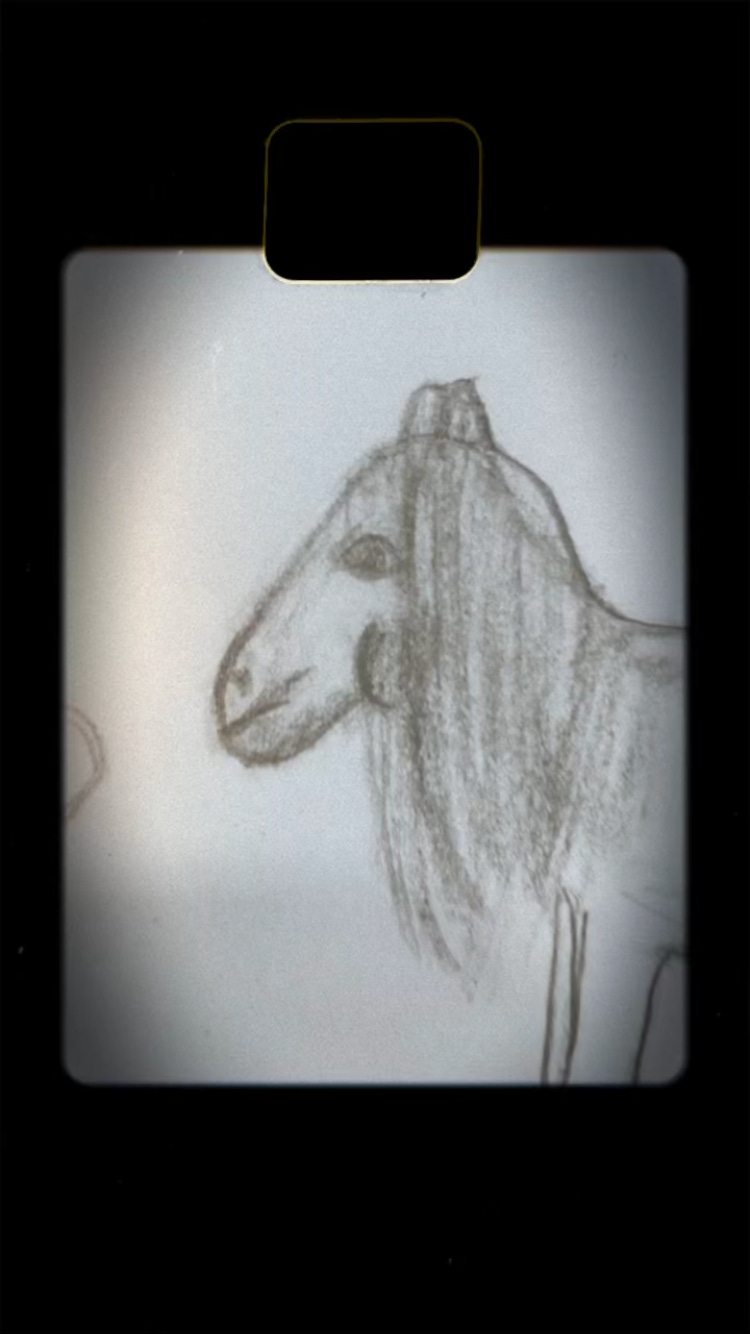 a child's drawing of a horse