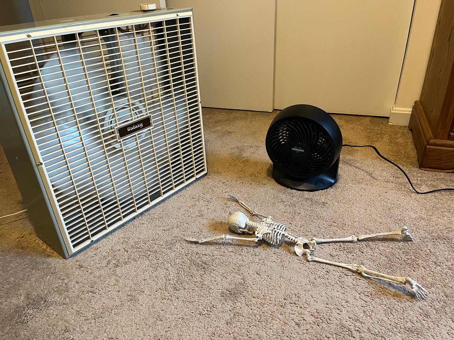 A photo of a toy skeleton lying facedown on the floor in front of two fans.