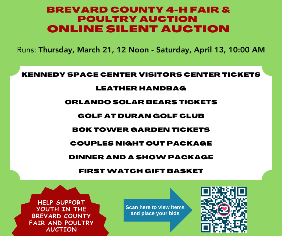 Graphic that reads Brevard County 4 H Fair and Poultry Auction Online Silent Auction. Runs from Thursday, March 21, 12 noon to Saturday, April 13, 10 A M. Items available are Kennedy Space Center Visitors Center Tickets, Leather Handbag, Orlando Solar Bears Tickets, Golf at Duran Golf Club, Bok Tower Garden Tickets, Couples Night Out Package, Dinner and a Show Package, and a First Watch Gift Basket. Help support youth in the Brevard County Fair and Poultry Auction. Scan the Q R code in the graphic to view items and place your bids. There is also a link to the auction site above the graphic.
