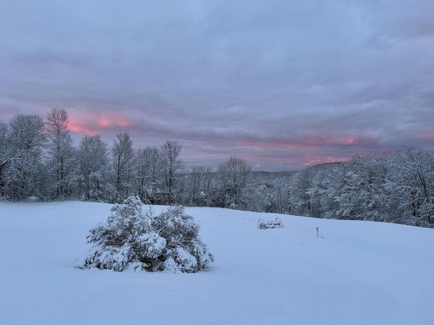 May be an image of arctic, ski slope, nature and twilight