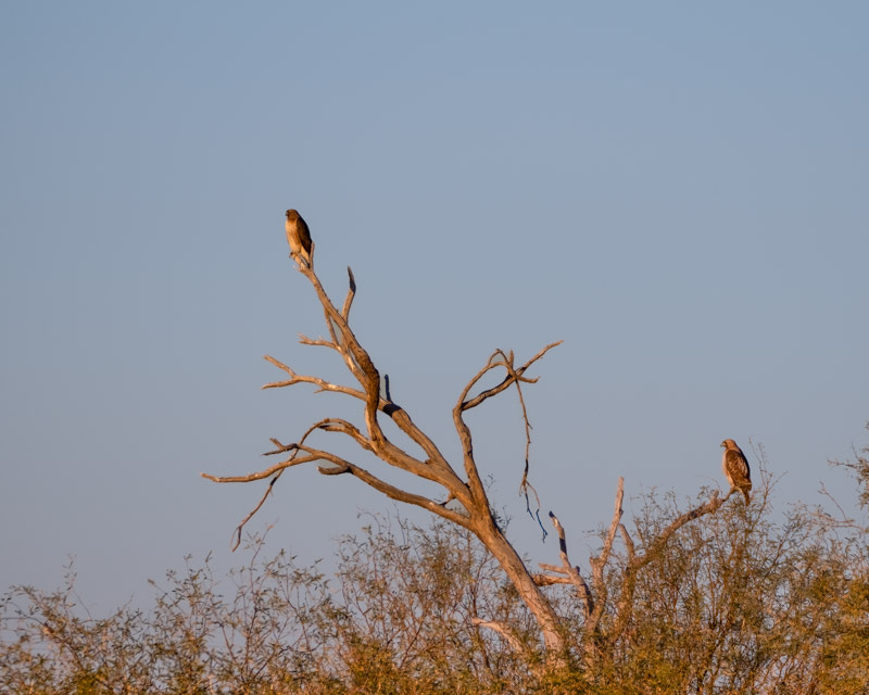 20250106-Marana-448-Edit.jpg
