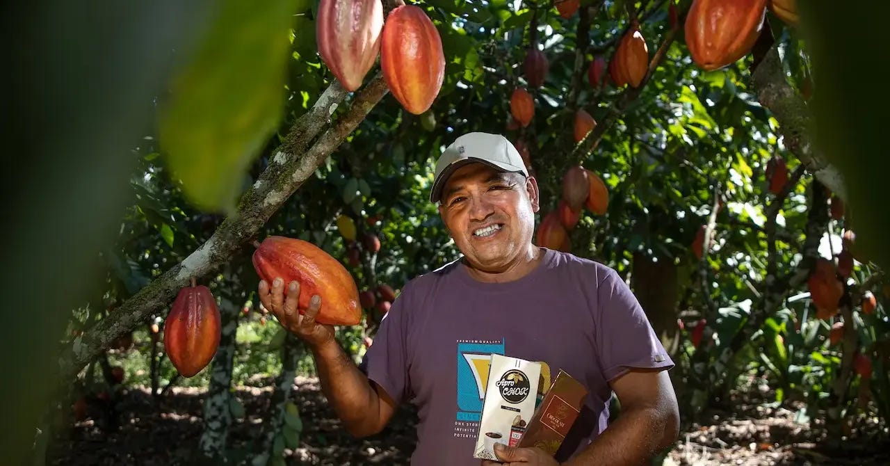 Chocolate del Vraem conquista medallas en competencia mundial