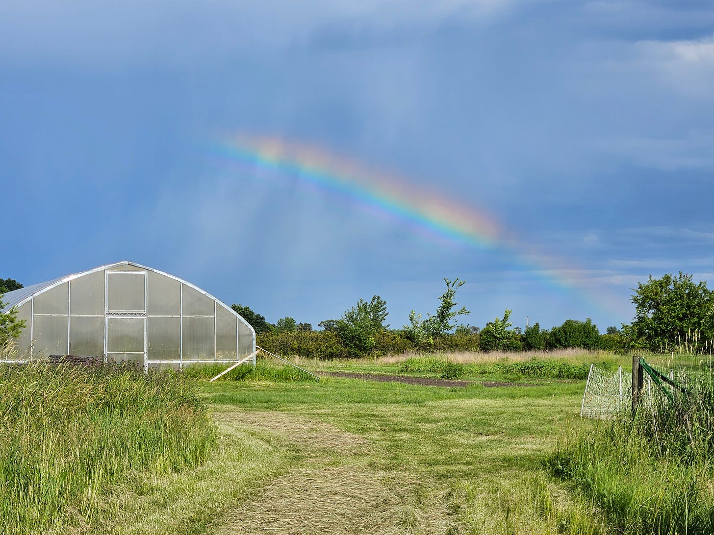 Rainbow at the Genuine Faux Farm