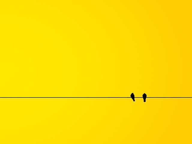 example of minimalism two birds on a wire