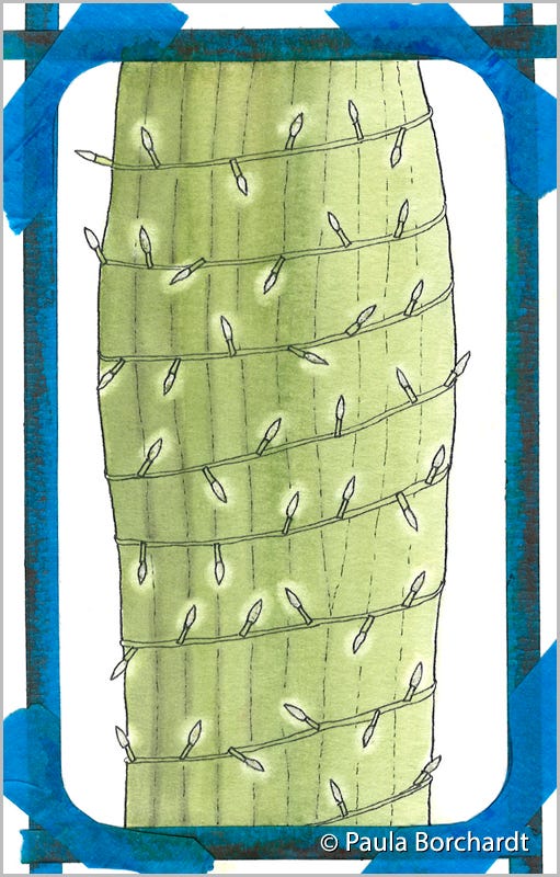 Enlightened Saguaro, Step 2 (pen & watercolor)