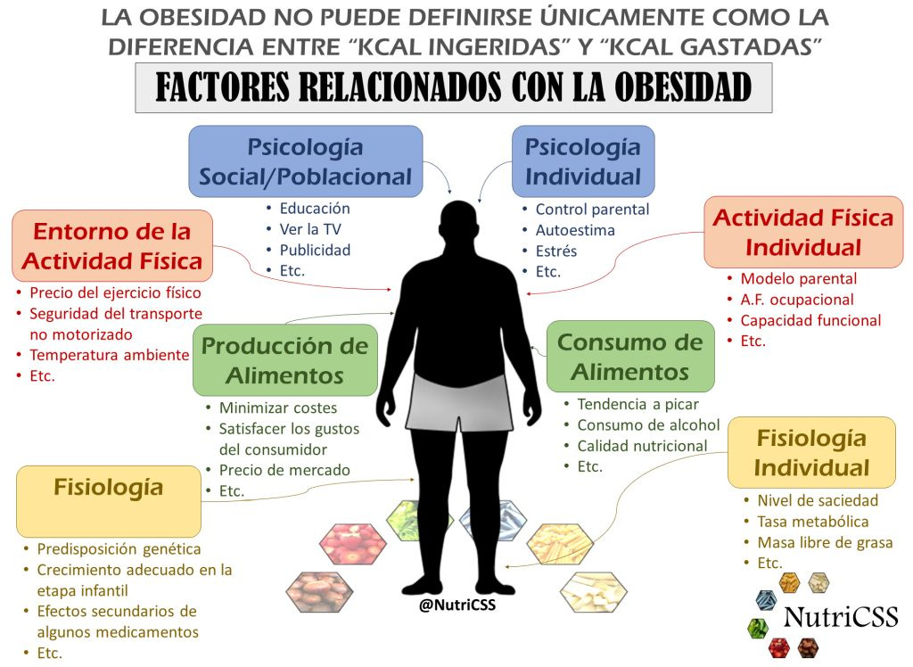 Factores relacionados con la obesidad - NutriCSS