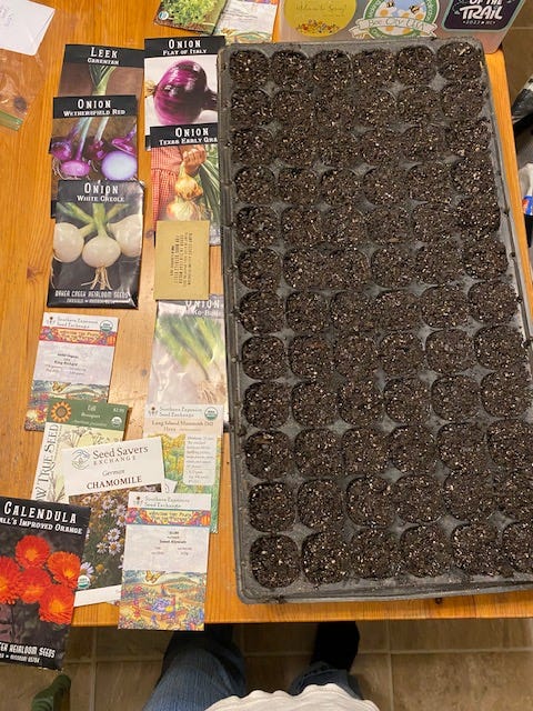 seed packets for onions and herbs next to a seedling starting tray