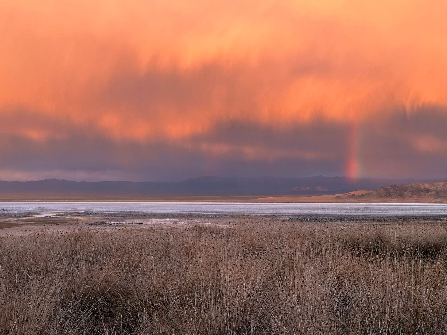 image of a foreground of grasses, a dry lake bed, a distant rainbow, and an orange sky in the desert