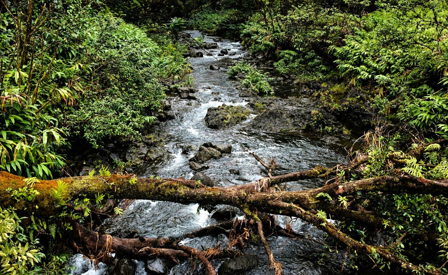 mountain stream