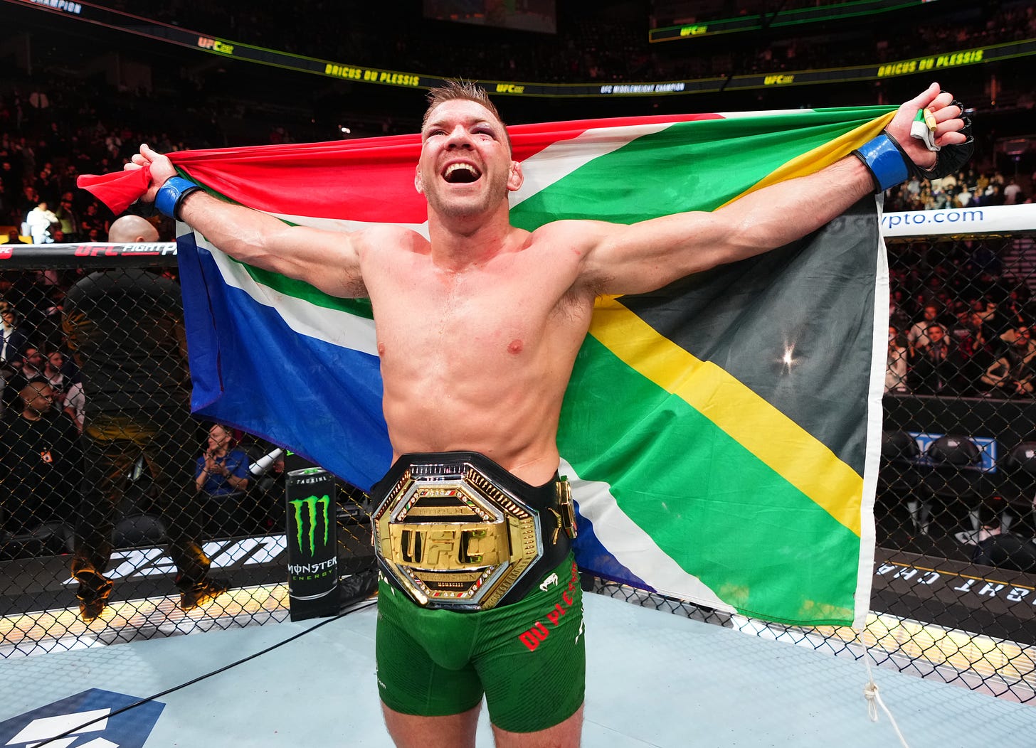 Bonuses! Du Plessis vs. Strickland easily takes Fight of the Night | UFC  297 - MMAmania.com