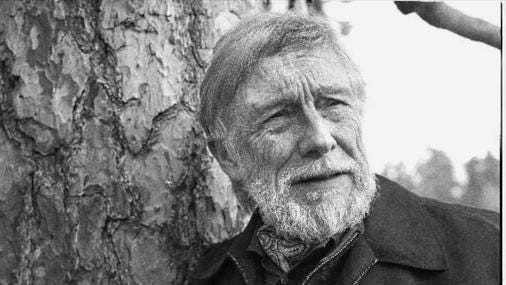 3 Gary Snyder Poems for a Hot, Dusty, Summer Existential Crisis