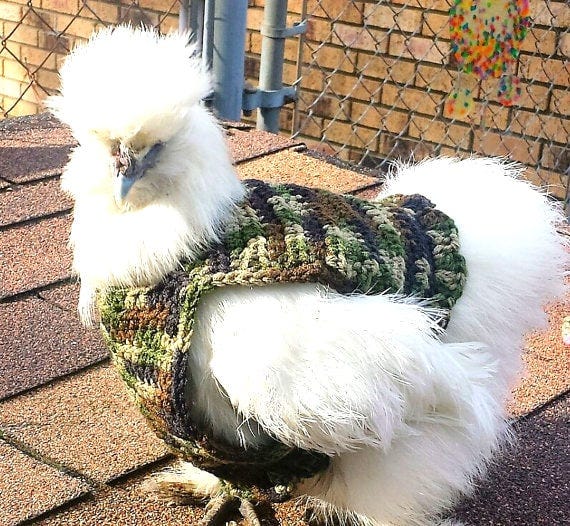 Camo Chicken Sweater - Etsy