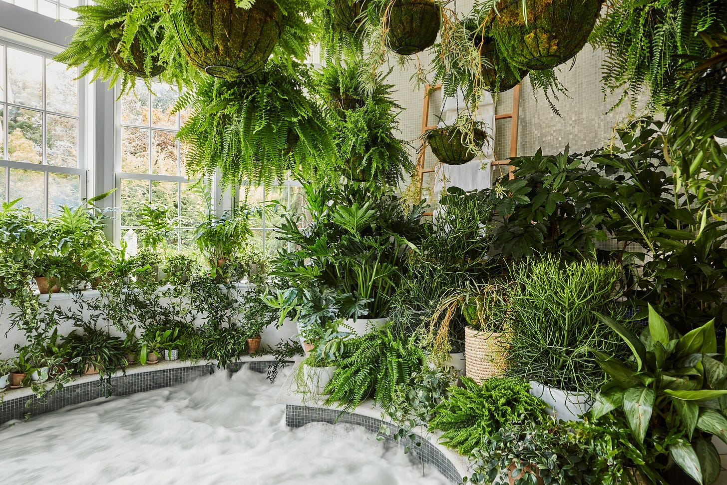 Image may contain Outdoors Garden Arbour and Nature