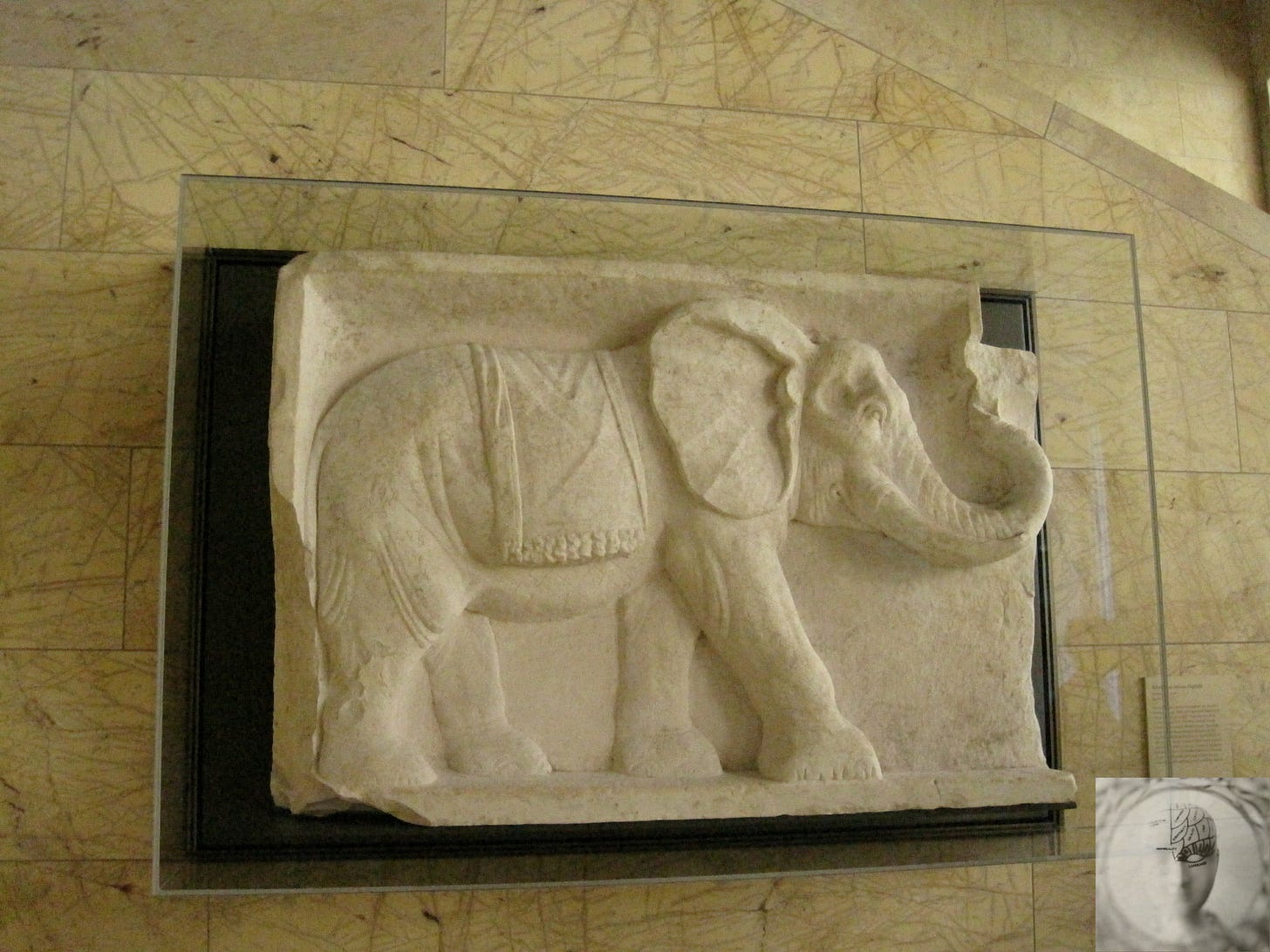 elephant marble relief