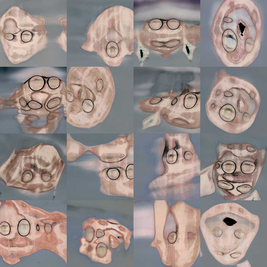 Embryonic Self-portrait in Latent Space. Artwork by Tim Murray-Browne. A grid of images showing abstract swirls faintly reminiscent of Tim's face