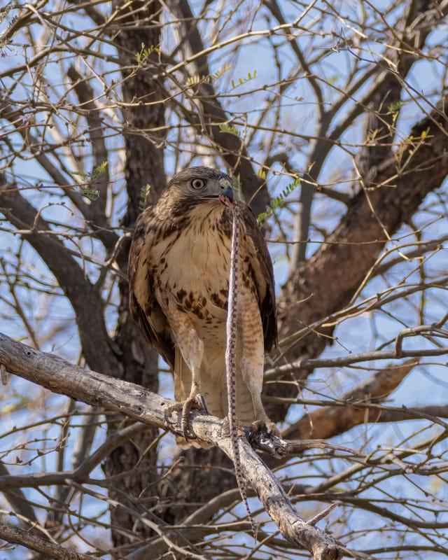 20250219-ManvilleFarm-133-Edit.jpg