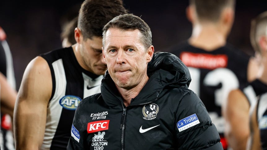 Collingwood coach Craig McRae admits controversial home ground bias call on  umpires was 'selfish' - ABC News