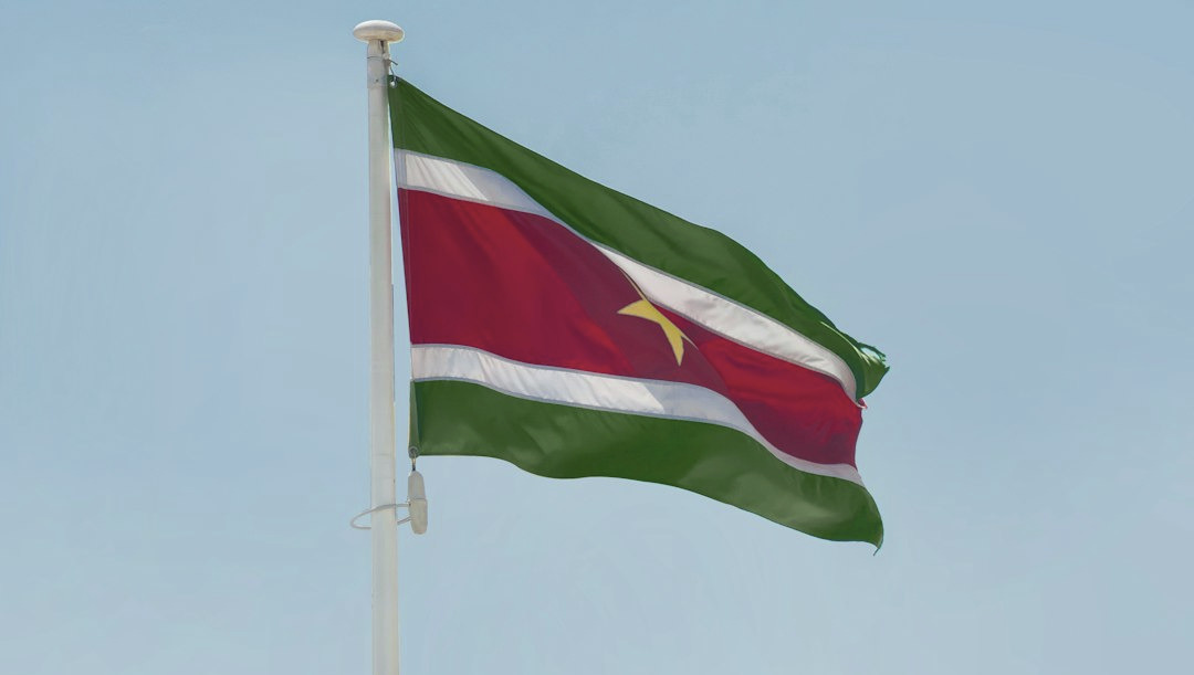a flag on a pole a flag on a pole