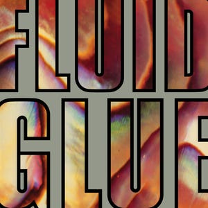 The Fluid Glue Sub Pop Vinyl Reissue