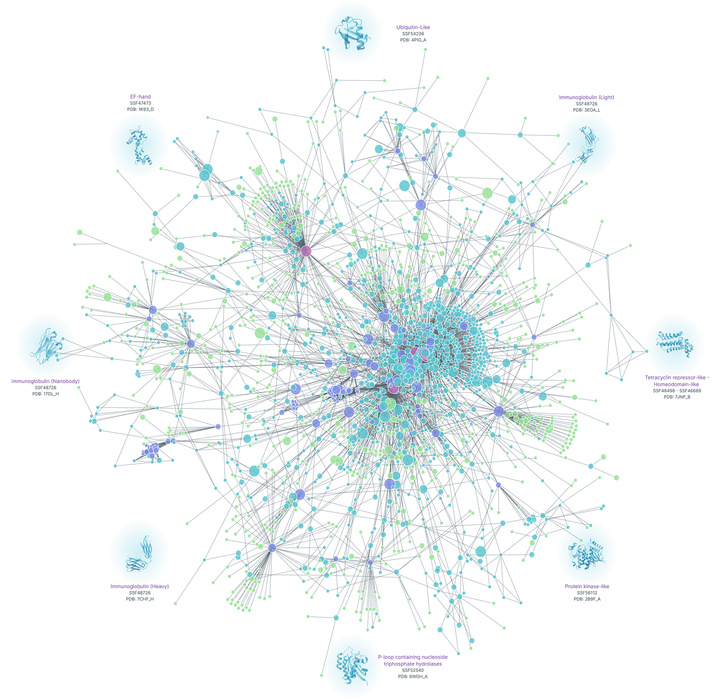 Protein-Protein Interaction network graph of the largest connected component of the ProteinFlow dataset (2023), which contains over 2K protein clusters connected by their protein interactions.