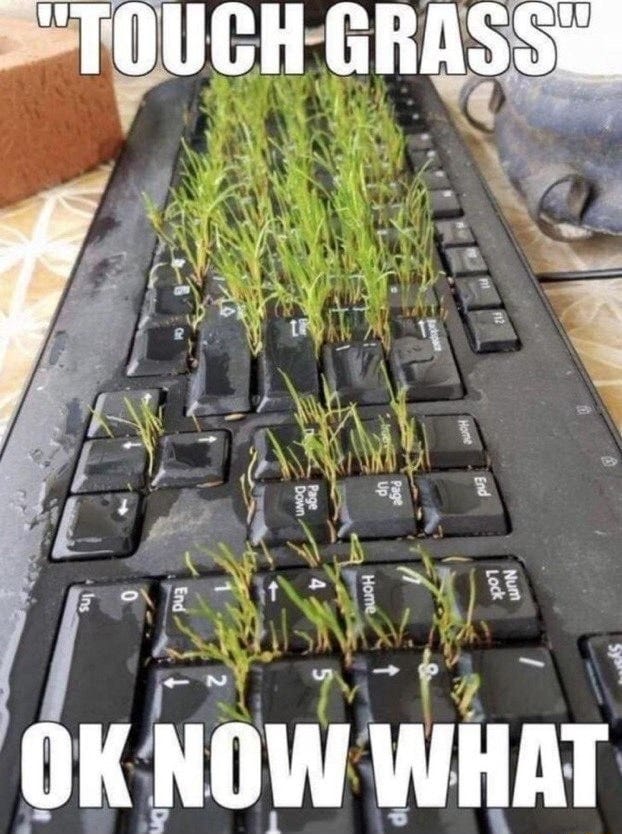 TOUCH GRASS OK NOW WHAT - iFunny
