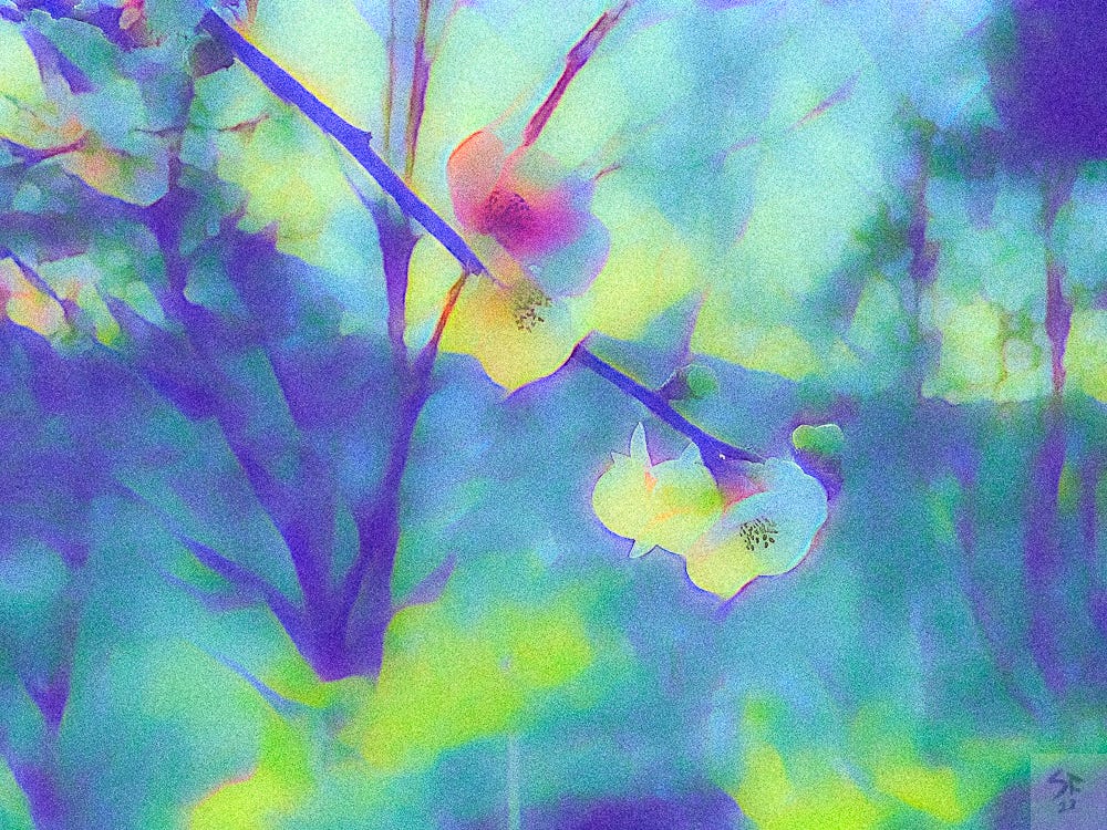 Delicate apple blossom in pastel colours