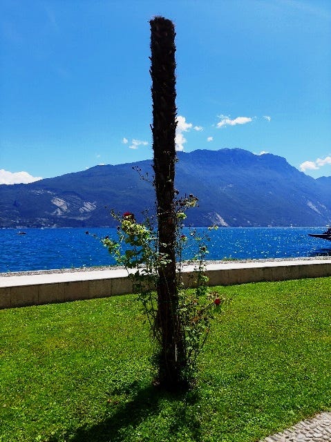 A little restful time in the sun by lake Garda