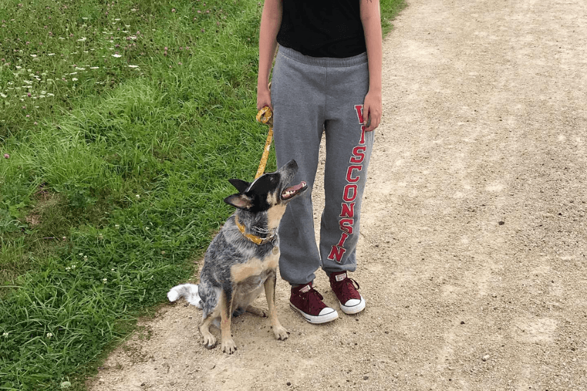 Haley and Scout pose on the edge of a walking trail in Wisconsin the fall after adopting each other at the shelter