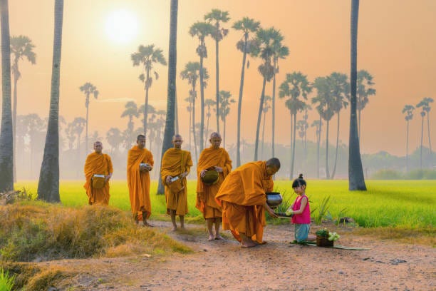 Thai girl from village in rural of Thailand offering foods to Buddhist monks Thai girl from village in rural of Thailand offering foods to Buddhist monks who going about with alms bowl to receive food in morning by walking across rice field with palm trees Monk stock pictures, royalty-free photos & images