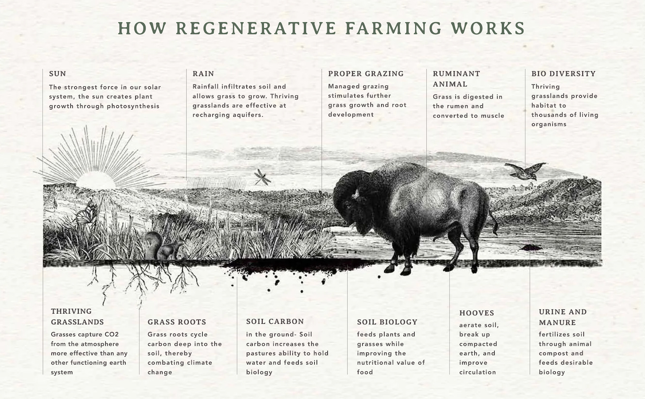 How regenerative farming works