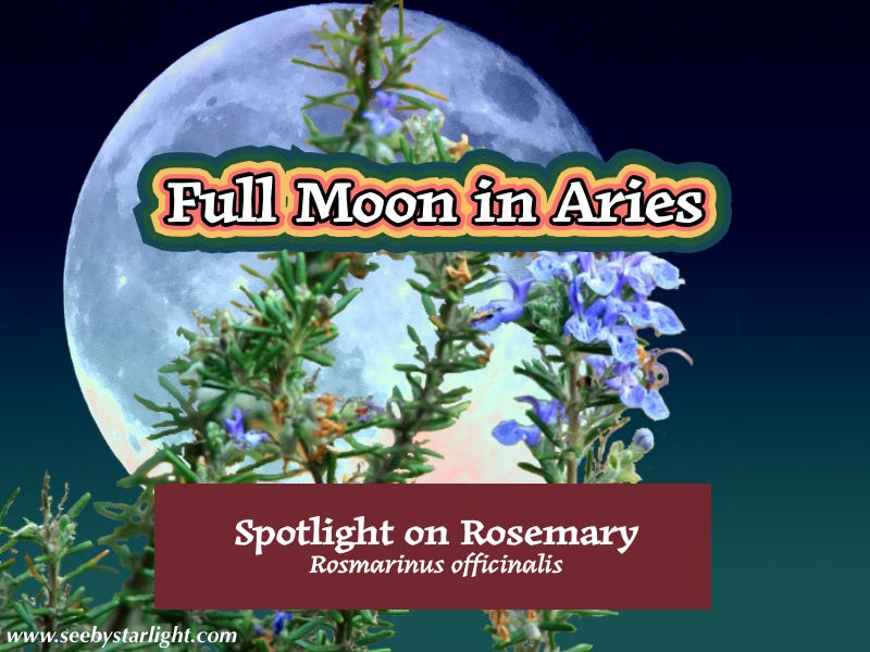 Full Moon in Aries. Spotlight on Rosemary. www.seebystarlight.com