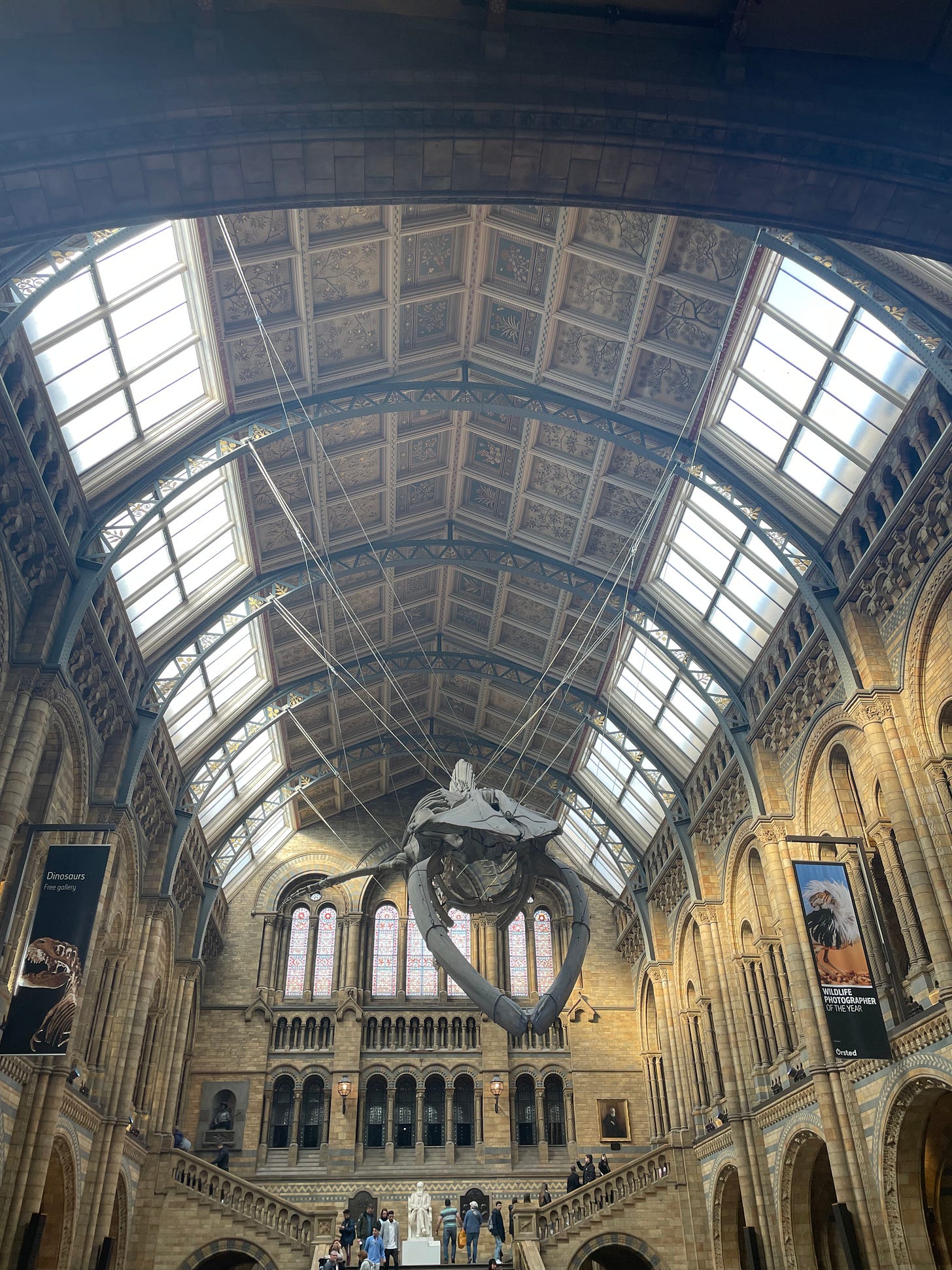 British Museum of Natural History, London