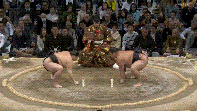 Grand sumo: Abi (left) defeats Shonannoumi (right).