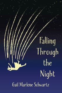 Book Cover of Falling Through the Night by Gail Marlene Schwartz shows a person in a dress falling out of a starry night sky