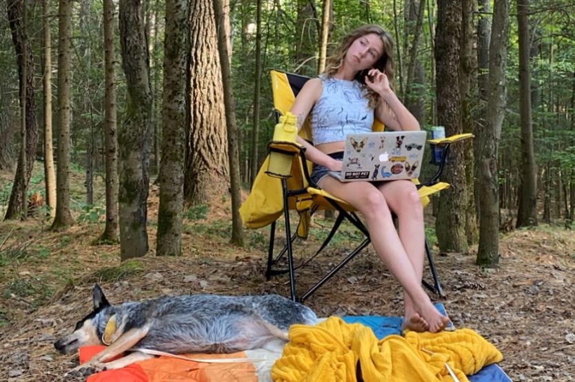 Haley sits in a yellow lawn chair and works on her laptop with Scout lying at her feet