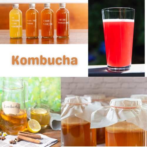 Kombucha fizzy healthy beverage images