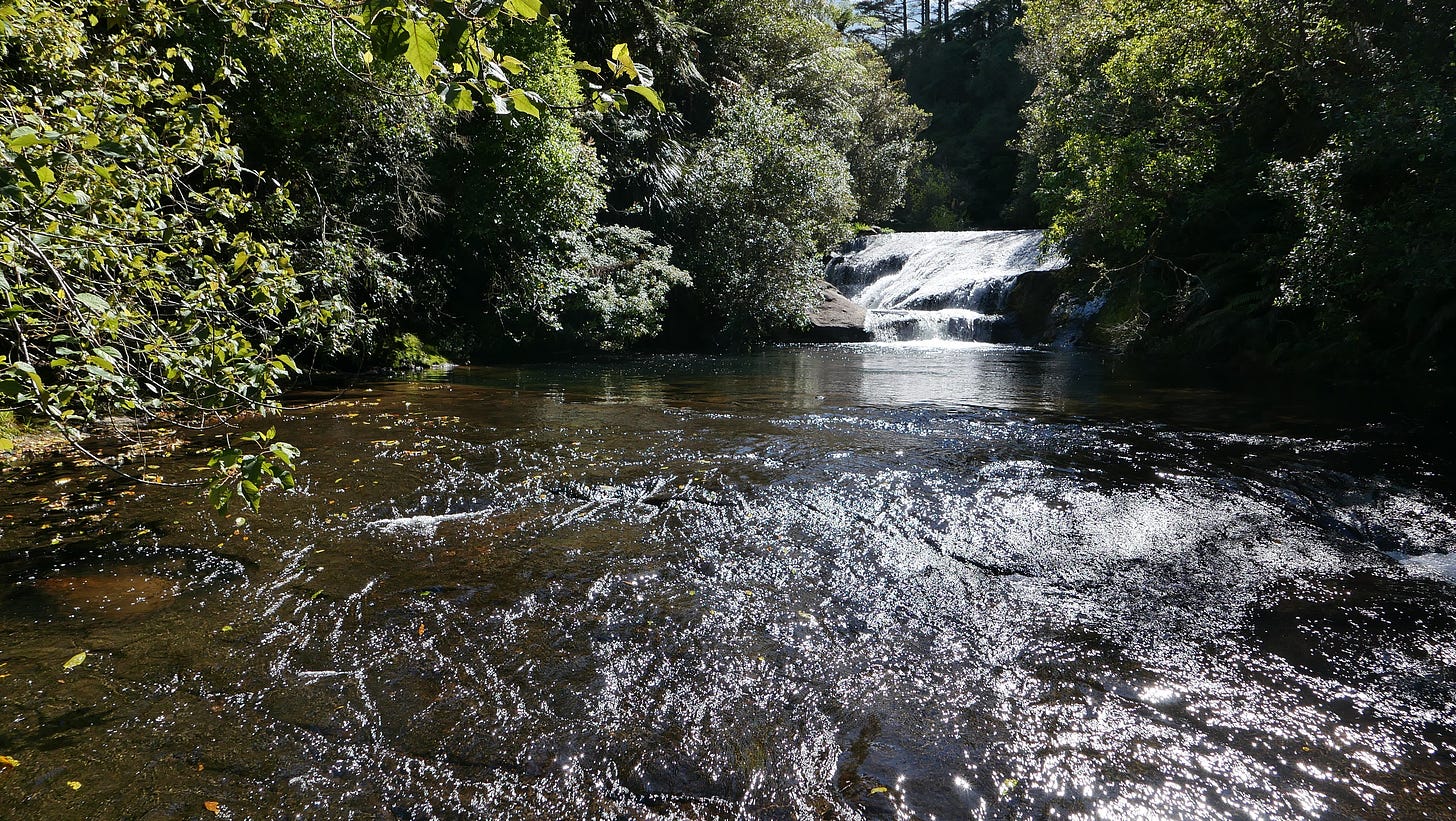 A small cascade with calm water in front, overspilling smooth rocks in the foreground.