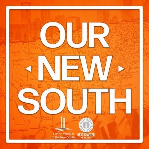 our new south