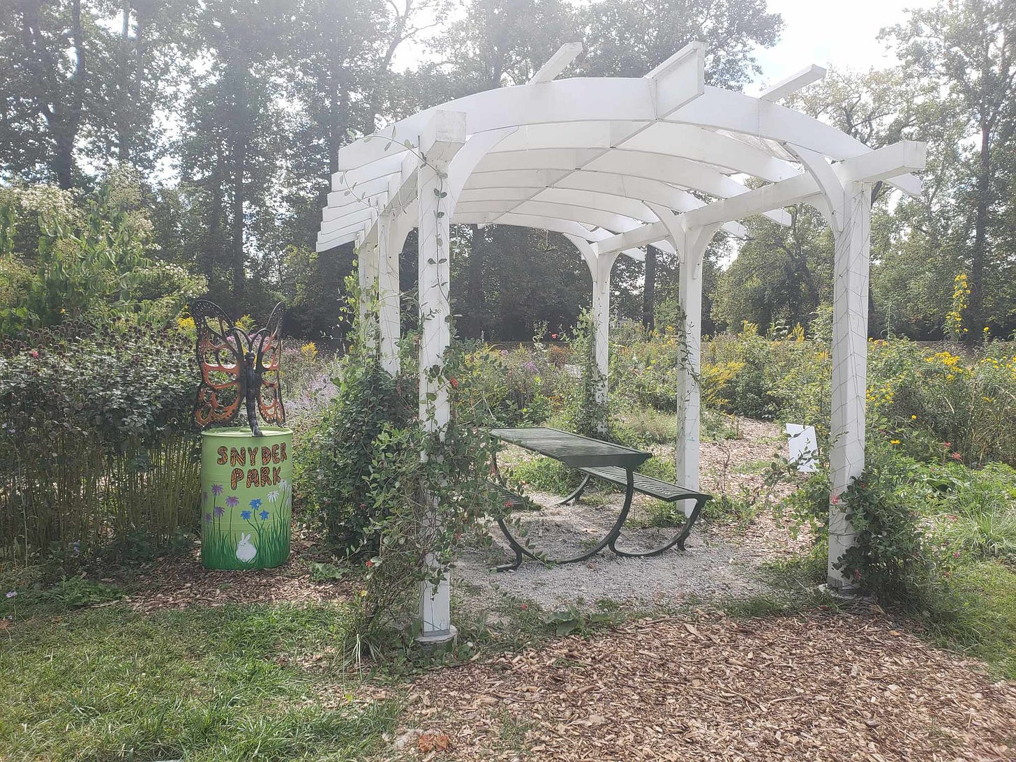 a nice trellis over a bench and a strange butterfly sculpture on a painted barrel