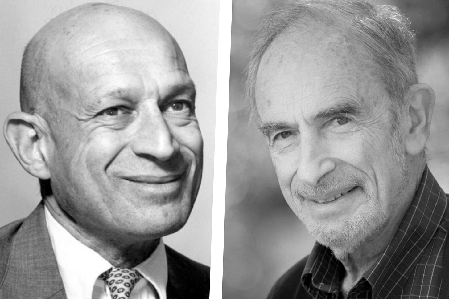 Luck or Insight? The Simon-Ehrlich Bet Re-Examined - Human Progress