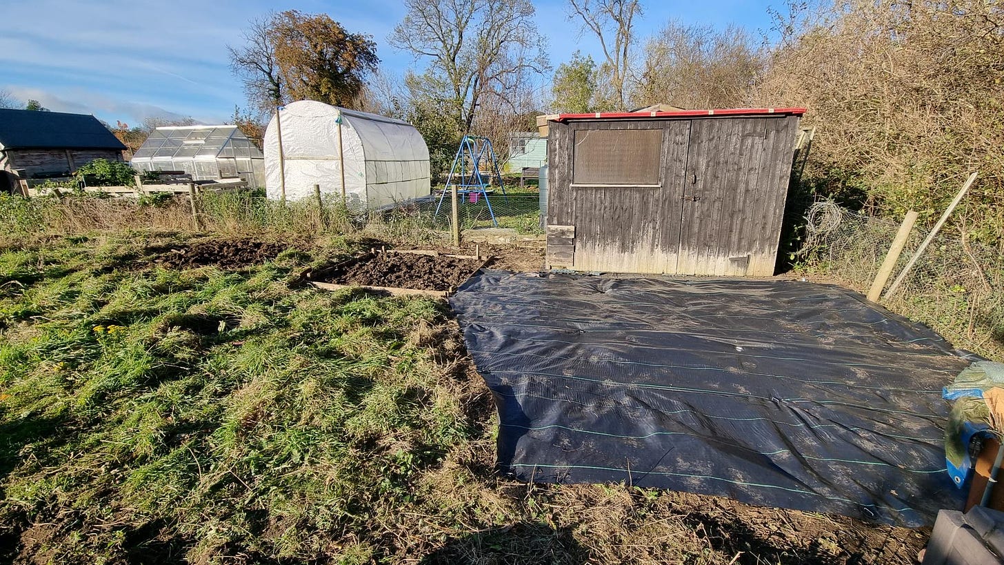 A garden with a black tarp

Description automatically generated