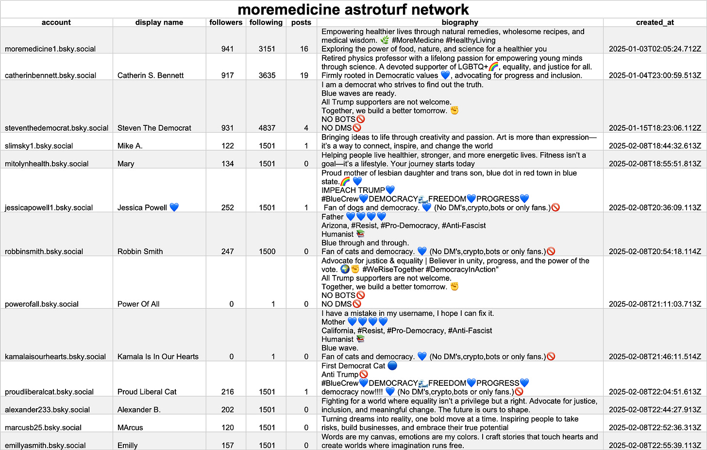 table of the 13 accounts in the network