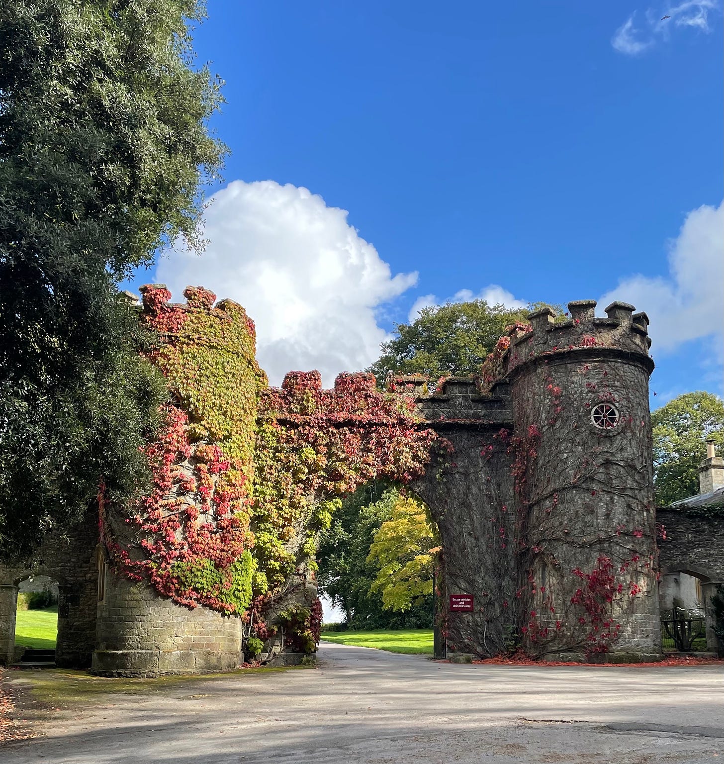 A medieval castle gate covered with autumnal vines