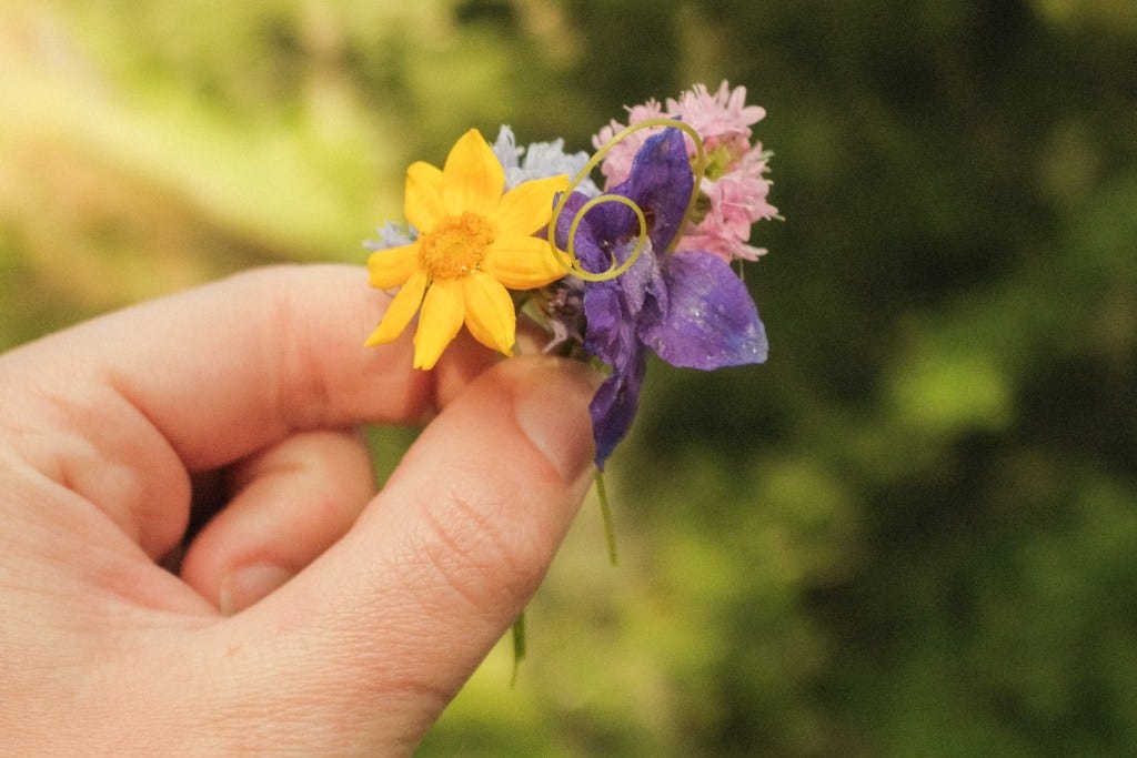 a hand holding collected wildflowers during a slow meandering journey 